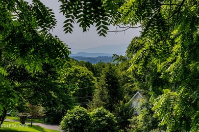 Nice vacation home with seasonal lake views of Douglas Lake - photo 36
