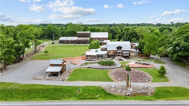 Seneca Lake Commercial For Sale in Burdett New York