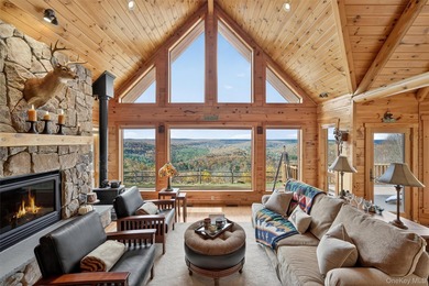 Lake Home For Sale in Narrowsburg, New York