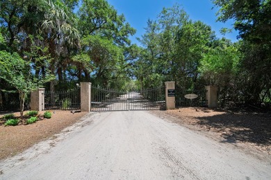 Island living with beautiful Marsh Views & welcoming Sea Breezes - photo 1