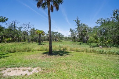 Island living with beautiful Marsh Views & welcoming Sea Breezes - photo 3