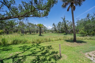 Island living with beautiful Marsh Views & welcoming Sea Breezes - photo 4