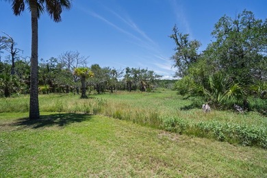Island living with beautiful Marsh Views & welcoming Sea Breezes - photo 5