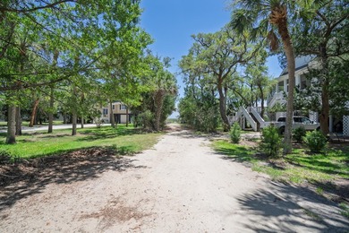 Island living with beautiful Marsh Views & welcoming Sea Breezes - photo 8