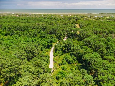 Island living with beautiful Marsh Views & welcoming Sea Breezes - photo 10
