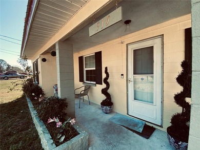 Looking for a lakefront home in Edgewater? Look no further! - photo 18