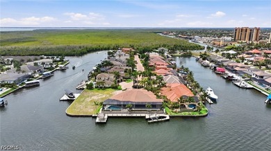 Paradise welcomes you to this direct Gulf access pool home - photo 8