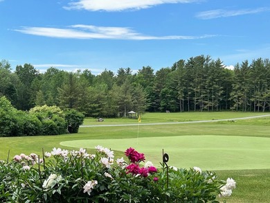 'Grosse Pointe' in Ferrisburgh, Vermont is an extraordinary New - photo 40
