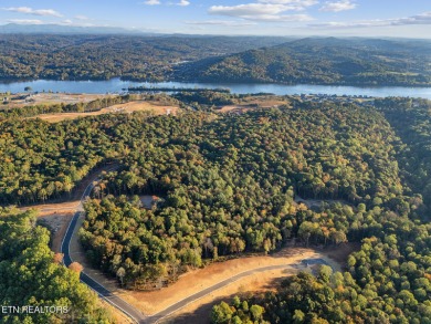 Watts Bar Lake Lot For Sale in Loudon Tennessee