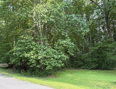 Great Wicomico River Lot For Sale in Heathsville Virginia