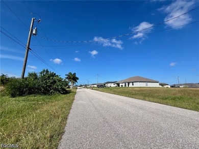 Great looking canal lot with southern rear exposure. Situated in - photo 4