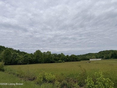 This property consists of 3.27 acres. Excellent building site - photo 5