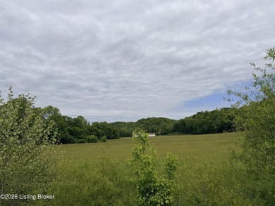 This property consists of 3.27 acres. Excellent building site - photo 6