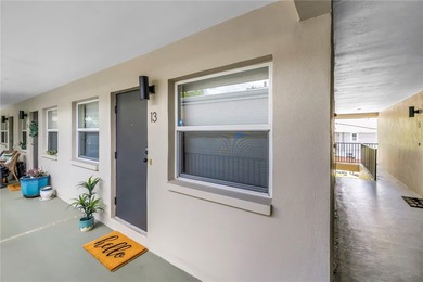Embrace the Ultimate Downtown St. Pete Lifestyle! Located just - photo 4
