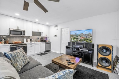 Embrace the Ultimate Downtown St. Pete Lifestyle! Located just - photo 8