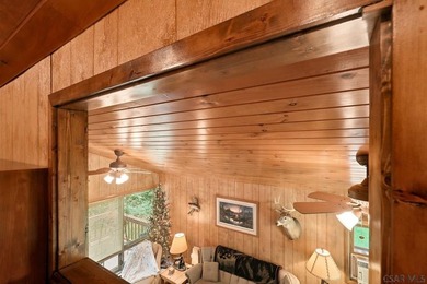 SECLUDED A-Frame on .42 acres minutes from the Yough! Tucked - photo 19