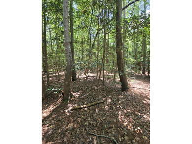 Level, wooded lot just under an acre, nestled in the golf cart - photo 2