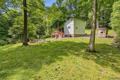 SECLUDED A-Frame on .42 acres minutes from the Yough! Tucked - photo 23