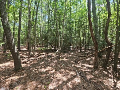 Level, wooded lot just under an acre, nestled in the golf cart - photo 3