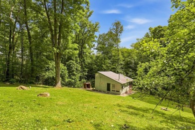 SECLUDED A-Frame on .42 acres minutes from the Yough! Tucked - photo 27