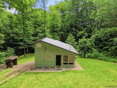 SECLUDED A-Frame on .42 acres minutes from the Yough! Tucked - photo 28