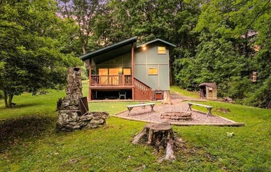 SECLUDED A-Frame on .42 acres minutes from the Yough! Tucked - photo 29
