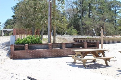 Level, wooded lot just under an acre, nestled in the golf cart - photo 9