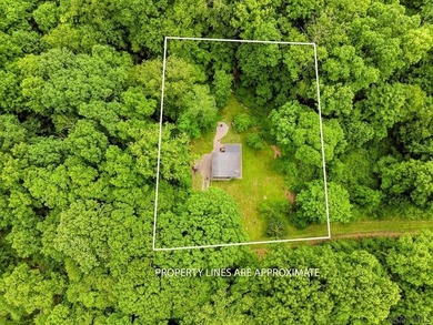 SECLUDED A-Frame on .42 acres minutes from the Yough! Tucked - photo 30