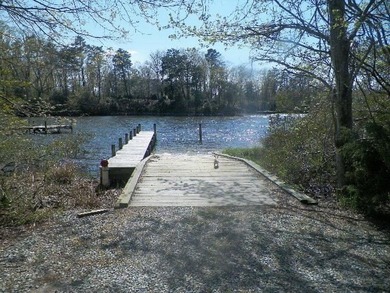 Level, wooded lot just under an acre, nestled in the golf cart - photo 10