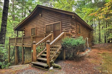 Cherry Log Lake Home For Sale in Cherry Log Georgia