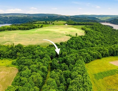 SECLUDED A-Frame on .42 acres minutes from the Yough! Tucked - photo 32