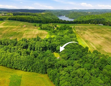 SECLUDED A-Frame on .42 acres minutes from the Yough! Tucked - photo 34