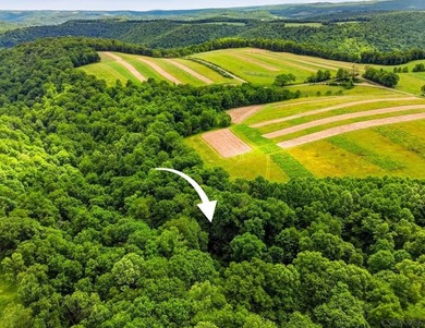 SECLUDED A-Frame on .42 acres minutes from the Yough! Tucked - photo 36
