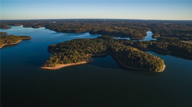 Modern Lakefront Luxury Meets Relaxed Lake Hartwell Living Wake - photo 36