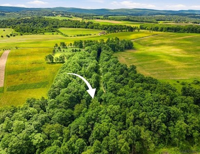 SECLUDED A-Frame on .42 acres minutes from the Yough! Tucked - photo 38