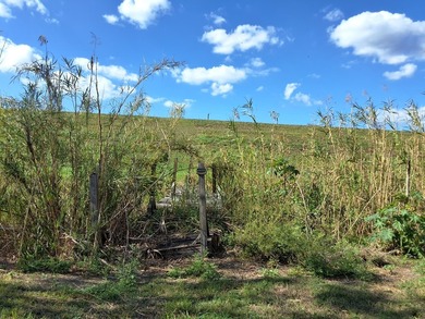 Enjoy stunning sunrises overlooking acres of cornfields from the - photo 38