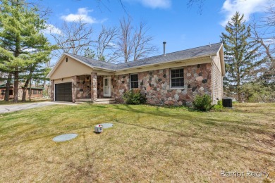 Bills Lake Home For Sale in Newaygo Michigan