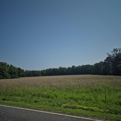 Lake Lot Sale Pending in Hague, Virginia