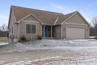 (private lake, pond, creek) Home Sale Pending in White Cloud Michigan