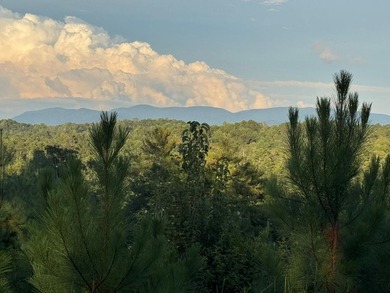 Lake Chatuge Acreage For Sale in Ellijay Georgia