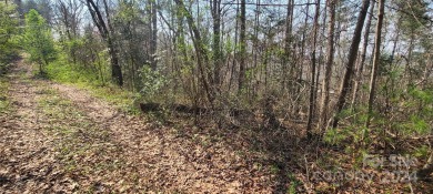 Lake Lot For Sale in Hickory, North Carolina