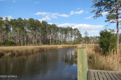 Lake Acreage Off Market in Oriental, North Carolina