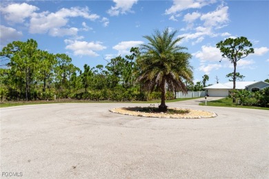 Island Living, Redefined - 1.24 Acres in Island Acres. Discover - photo 13
