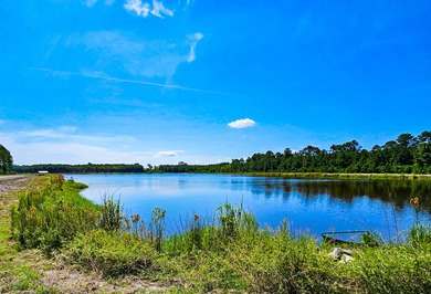 (private lake, pond, creek) Acreage For Sale in Walterboro South Carolina