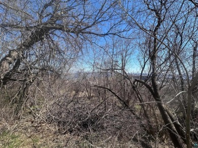 Lake Superior - St. Louis County Lot For Sale in Duluth Minnesota