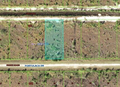 Lake Weohyakapka Lot For Sale in Indian Lake Estates Florida
