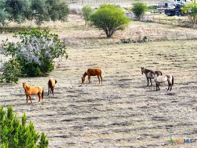 Prime Commercial Acreage located on high traffic FM 2484 and - photo 13