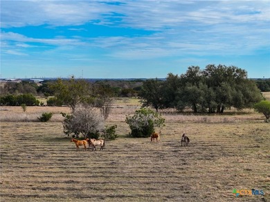 Prime Commercial Acreage located on high traffic FM 2484 and - photo 14