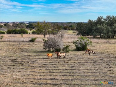 Prime Commercial Acreage located on high traffic FM 2484 and - photo 15