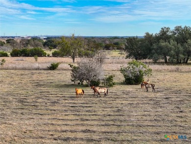 Prime Commercial Acreage located on high traffic FM 2484 and - photo 16